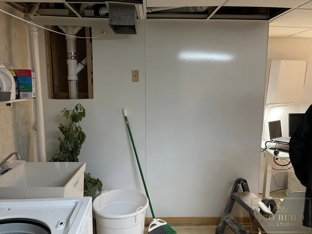 Views of the Storage Area in the Laundry Room prior to Renovation, Western Springs, IL