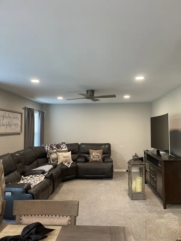 New Living Room Lighting and Ceiling Fan, Joliet