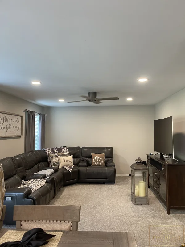 New Living Room Lighting and Ceiling Fan, Joliet