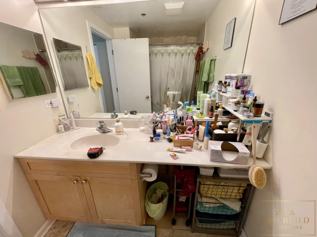 Outdated Bathroom Vanity with Oversized mirror, Lisle, IL